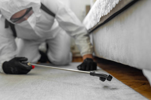 Professional Bed Bug Control technician working in Bellefontaine, OH