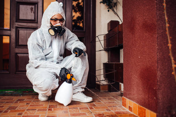 Reliable Bed Bug Control contractor in Bellefontaine, OH by Nex Pest Control