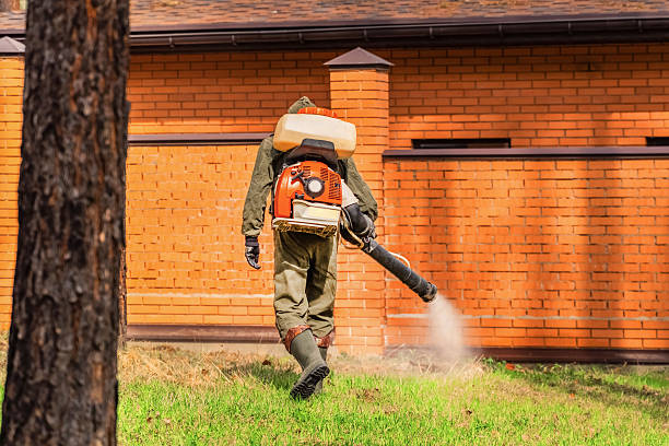 Trusted Emergency Pest Control service in Bellefontaine, OH - Nex Pest Control